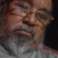 dominggus arnold