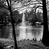 Antionina Montgomery