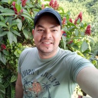 Alejandro Arango Velásquez