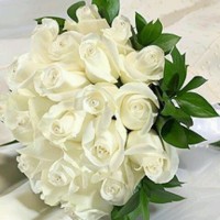 Ebtihal Alshareef