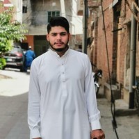 Hussain Javaid ✨ SEO Executive