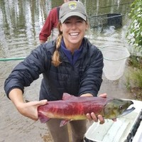 Jeanne McFall, PE, MS - 8(a), WOSB, DBE