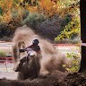 Ben Gustavson