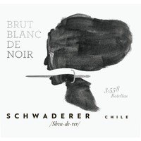 Mariane Schwaderer