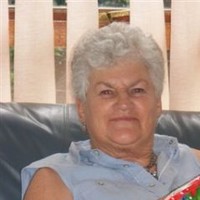 Robin Nell