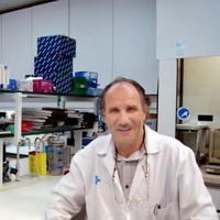 Julio Salinas Puyol