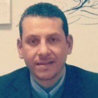 Hany Abdelwanees