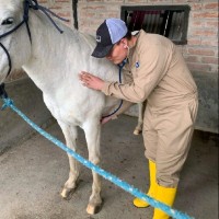 José Vera