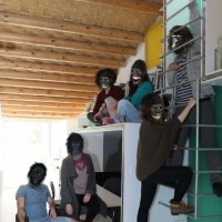 Urban Gorillas