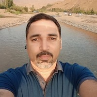 Hossein Shayesteh