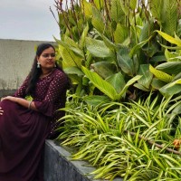 Saichaitanya Pothula