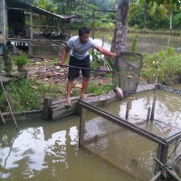 Rizal Ufah