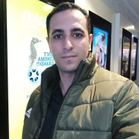 Mostafa A.Elwahab