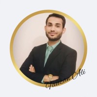 Syed M. Fauzan Ali