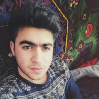 Elvin Musayev