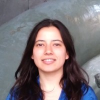 Ece Sezgince