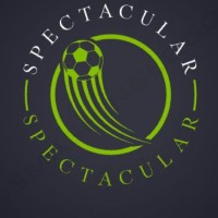 Spectacular Goals