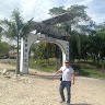 Rene pedraza