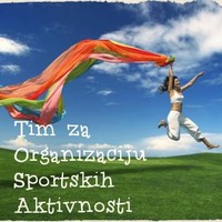 Tim za organizaciju sportskih aktivnosti NIS a.d.