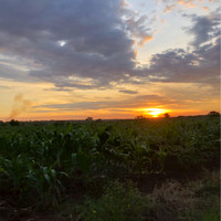 Amin and Shirin Ladak