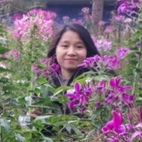 Vi Dao