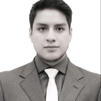 Sebastian Flores Toledo