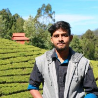 Sai Teja Kosanam