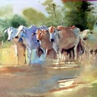 Anoop Sreedharan