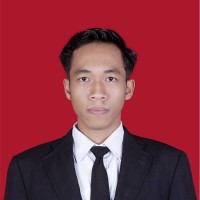 Aldo Puja Linar