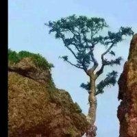 张邦住