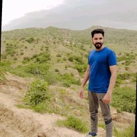 Rizwan Majeed