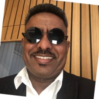 Ahmed Edries