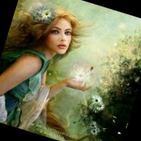Faryal Siddique