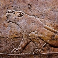 Angel González Gutiérrez