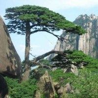 刘祥波