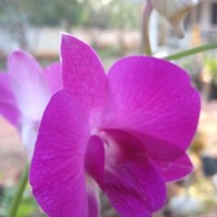 Shaji George