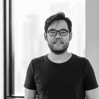 Vitor Endo Wesseling