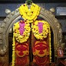 chandra m.p