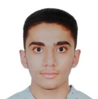 Ayman Mohammed Ahmed A.