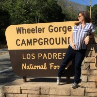 Kristen Wheeler