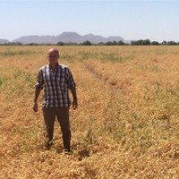 Federico Nicolas Mollica Ingalina