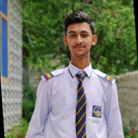 Mesum Abbas