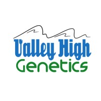 Valley High Genetics