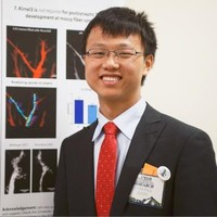 ZHIRONG WANG