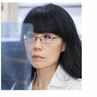 Zhong Ying