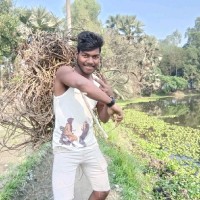 Bikash Brahmachari