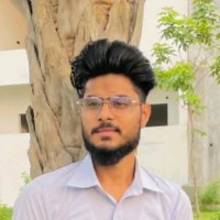 Harish Ansari