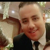 Alaa Nagib