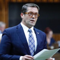 Bob Zimmer