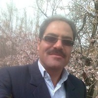 Majid Yousefinekoo